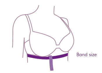 Captura de pantalla 2025-02-18 114140 Captura de pantalla 2025 02 18 114140