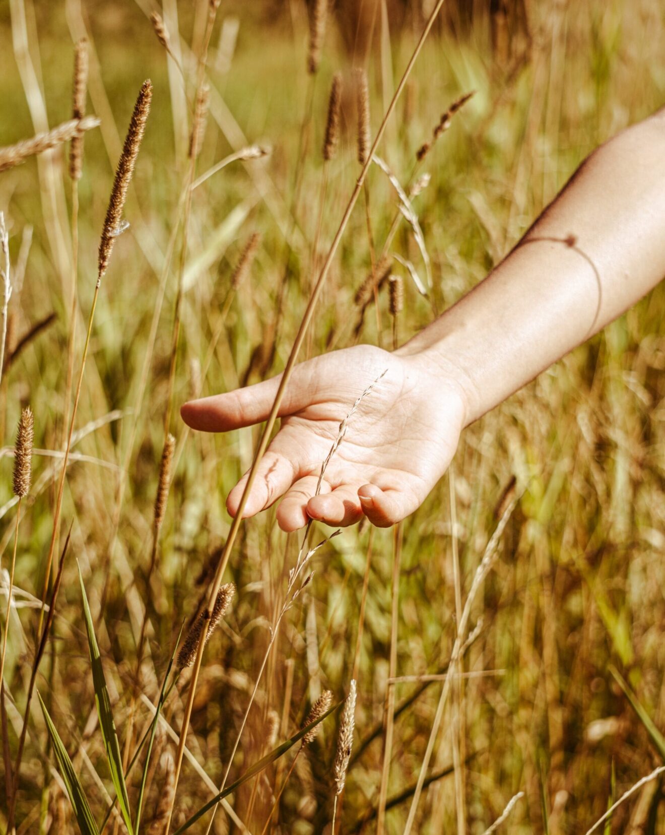 3d objects on the pc screen